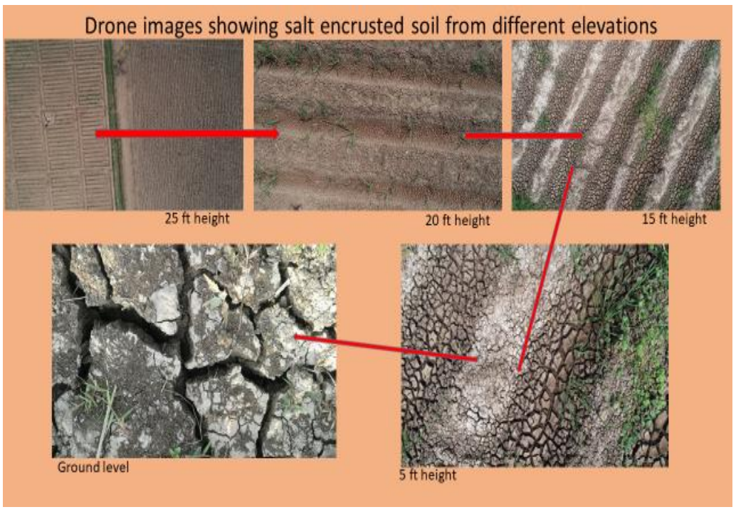 Drone Images Showing Salt Encrusted Soil